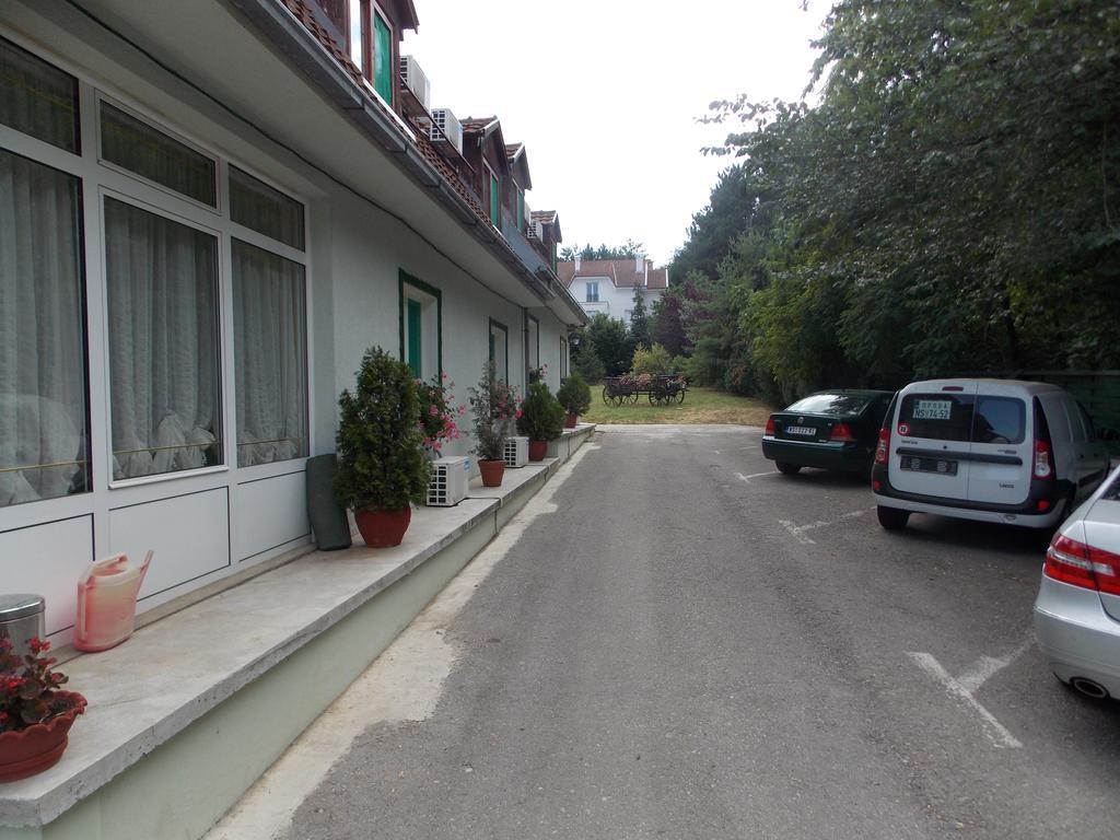 B&B Villa Evandjelina Sremska Kamenica Bagian luar foto