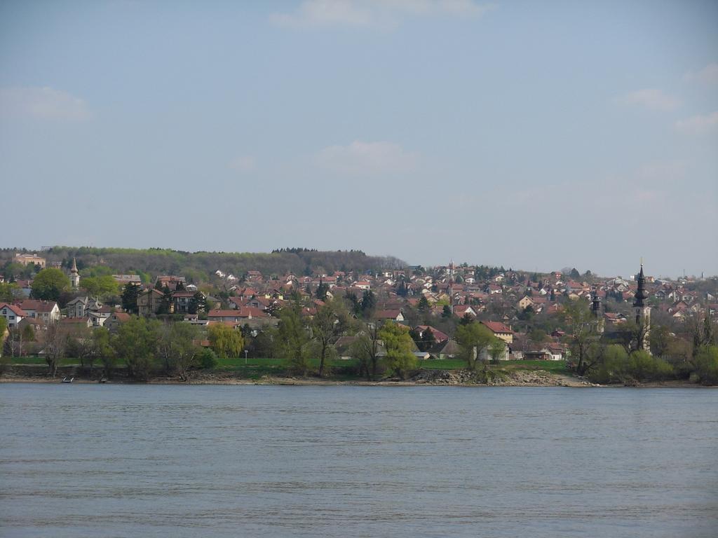 B&B Villa Evandjelina Sremska Kamenica Bagian luar foto