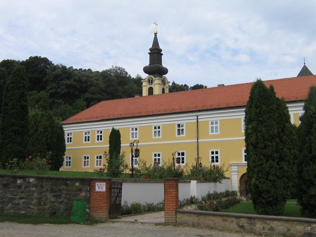 B&B Villa Evandjelina Sremska Kamenica Bagian luar foto
