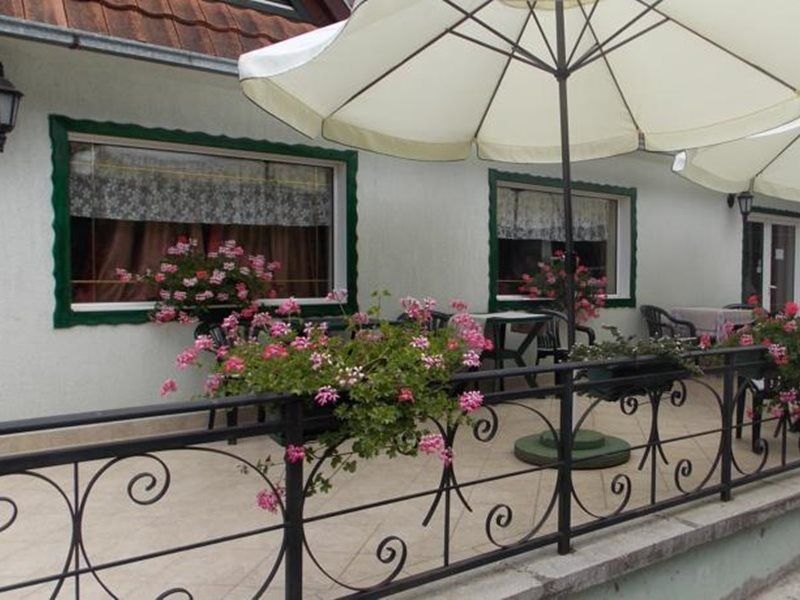 B&B Villa Evandjelina Sremska Kamenica Bagian luar foto