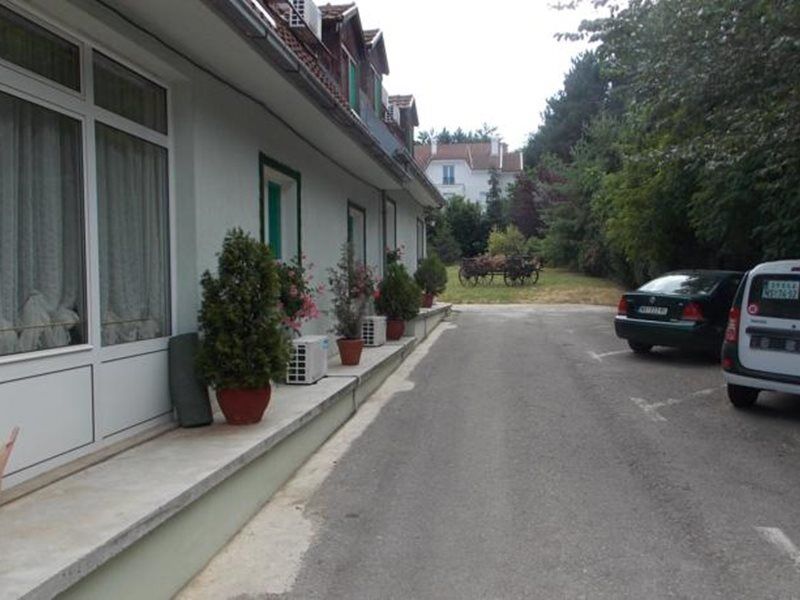 B&B Villa Evandjelina Sremska Kamenica Bagian luar foto
